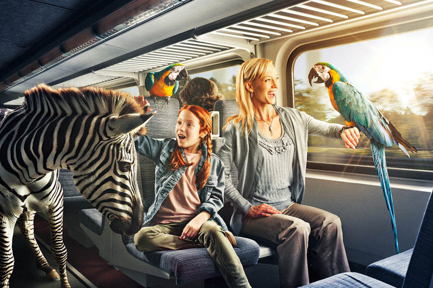 手机号验证码轰炸免费